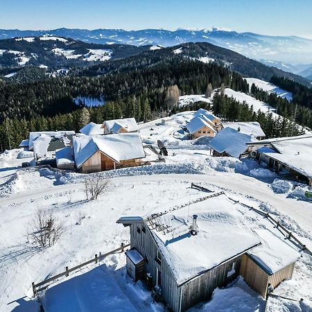 1A Chalet Eck - Wandern, Grillen, Panorama Sauna! Klippitztorl Exterior photo